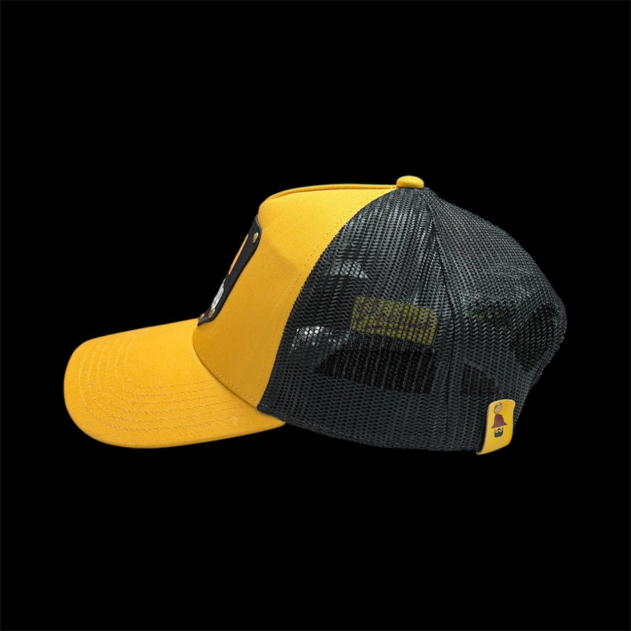 Trucker TargatoSa-4.jpeg