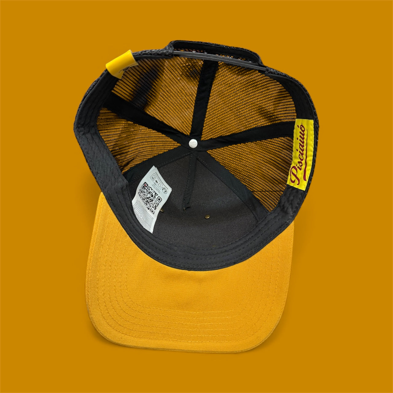 Trucker TargatoSa-3.jpeg